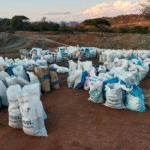 Why Tanzanian Copper Ore is in High Demand Globally